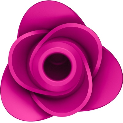 Satisfyer Air Pulse Pro 2 Modern Blossom Vibrator - image 2