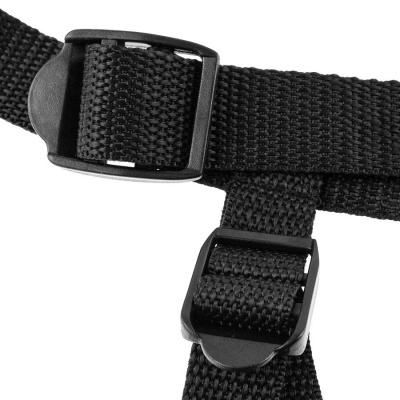 Fetish Fantasy Harness for Beginners - image 5