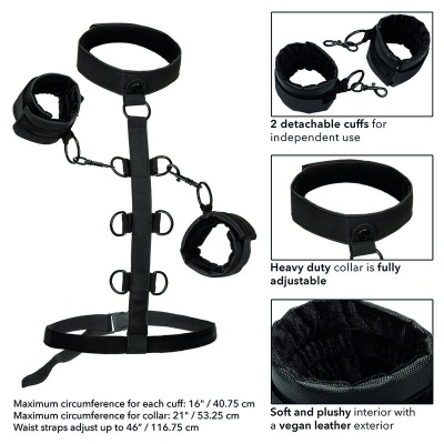 Calexotics Boundless Collar Set - image 6