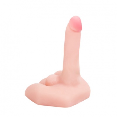Mr Big Realistic Penis And Anus Masturbator - image 3