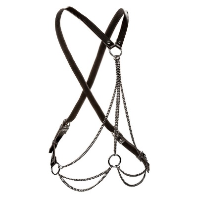 Calexotics Euphoria Multi Chain Harness