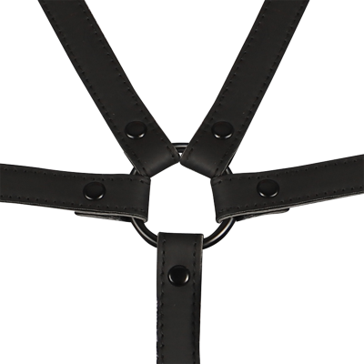 Fetish Submissive Torso and Arm Harness - image 6