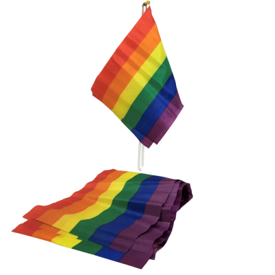 Pride LGBT Flag Small Banner (30cm) Pride LGBT Flag Small Banner (30cm)