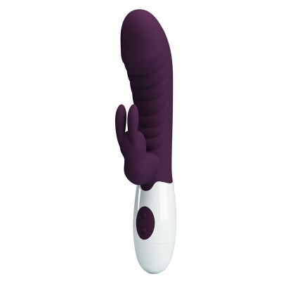 Pretty Love Naughty Bunny Rabbit Vibrator - Purple