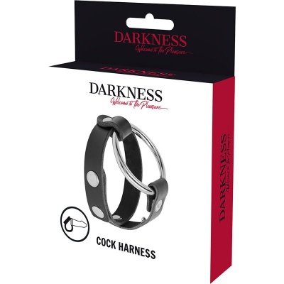 Darkness BDSM Penis & Testicle Ring, Metal, Adjustable - image 5