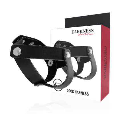 Darkness Leather Penis and Testicle Ring