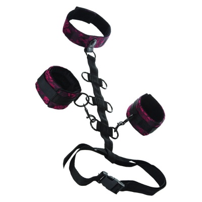 CALEXOTICS Scandal Comporal Support with Neck - image 1