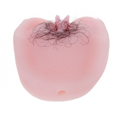 Baile Anthea Magic Flesh Vibration Masturbator - image 7