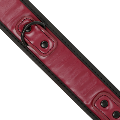 Fetish Submissive Dark Room Collar with Leash - image 4