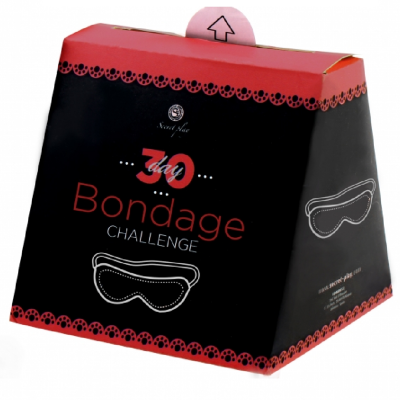 Secret Play 30-Day Bondage Challenge - Game - image 2