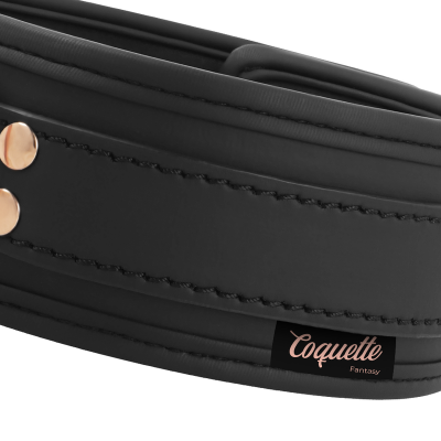 Coquette Chic Desire Fantasy Vegan Collar with Leash - image 7