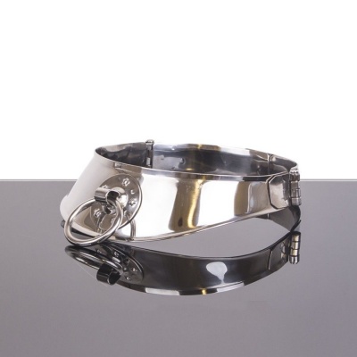 Metal Hard Restraint Collar with Ring - image 2