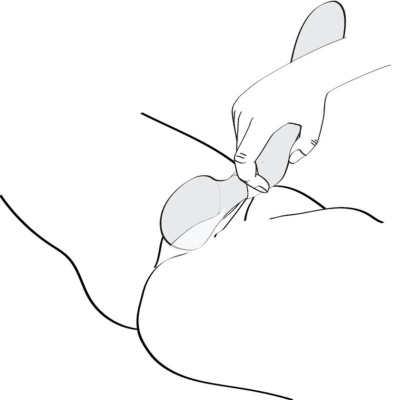 Shunga Zoa Fuchsia Intimate Massager - image 7