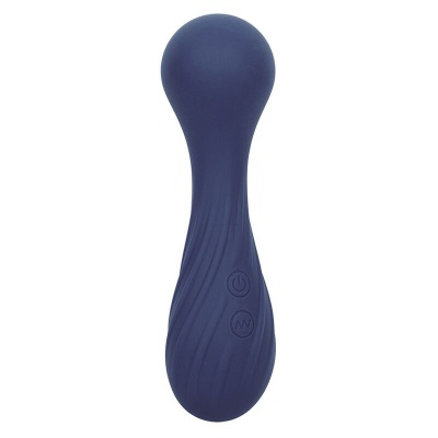 Cal Exotics Charisma Temptation Massager Purple - image 3
