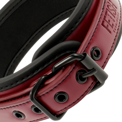 Fetish Submissive Dark Room Collar with Leash - image 3