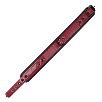 Fetish Submissive Dark Room Collar with Leash - image 7