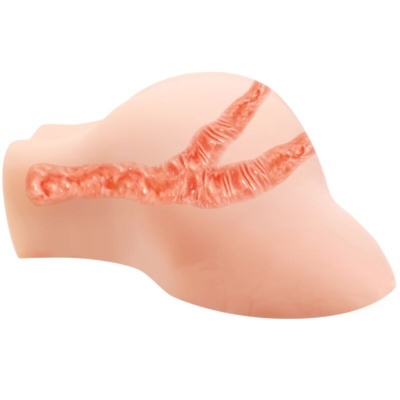 Crazy Bull Vagina and Anus with Vibration - image 4
