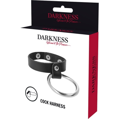 Darkness Metal Penis and Testicles Ring - image 5