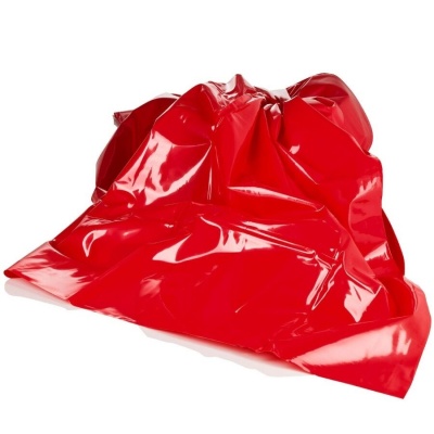 Calexotics Scandal Red PVC Sheet 2m - image 1