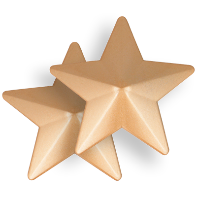 Coquette Chic Desire Nipple Covers Gold Stars - image 3