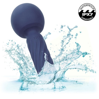 Cal Exotics Charisma Seduction Massager 17.75CM - image 8