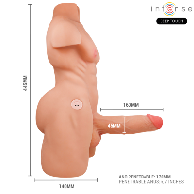 Intense Deep Touch - Marty Torso With Anus AND Realistic Dildo With... - image 6