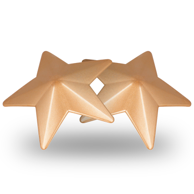 Coquette Chic Desire Nipple Covers Gold Stars - image 4