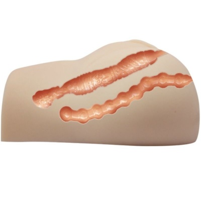 Crazy Bull - Realistic Vagina And Anus With Vibration Position 7 - image 6