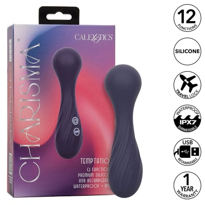 Cal Exotics Charisma Temptation Massager Purple - image 2