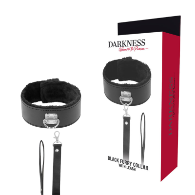 Darkness Titanium Chain Collar with Leash - image 1