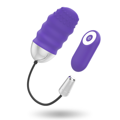 Mr Boss Denis Remote Control Egg Vibrator - image 5