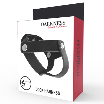 Darkness Leather Penis and Testicle Ring - image 5