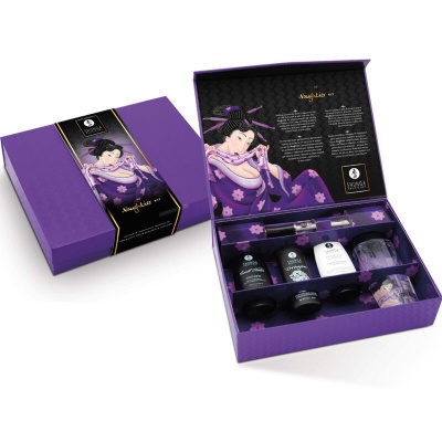 Shunga Naughtier Kit - image 8