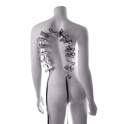 Foto van Sportsheets - Edge Body Zipper Clothes Pins - Zilver