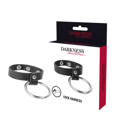 Darkness Metal Penis and Testicles Ring
