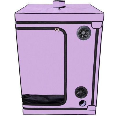 Secret Dome Kink Club Scandale Cabin Purple - image 5
