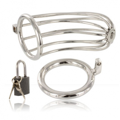 Metal Hard Bird Chastity Ring Cage - image 2