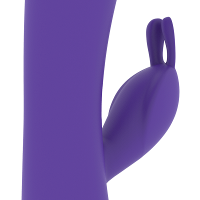 Mr. Boss Aitor Rabbit with Watchme Remote - image 8