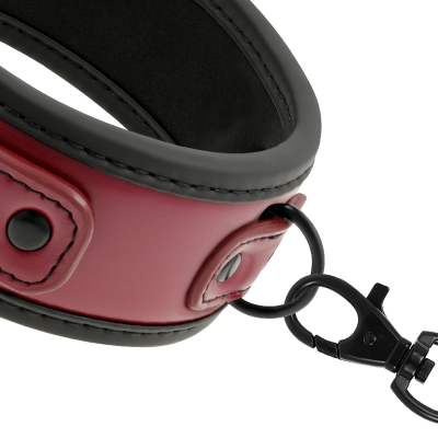 Fetish Submissive Dark Room Collar with Leash - image 10