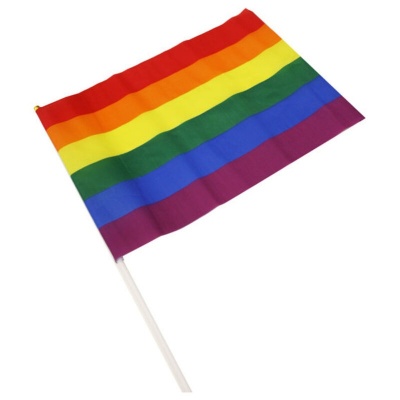 Pride LGBT Flag Large Pennant (43x31cm)