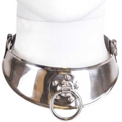 Metal Hard Restraint Collar with Ring - image 1