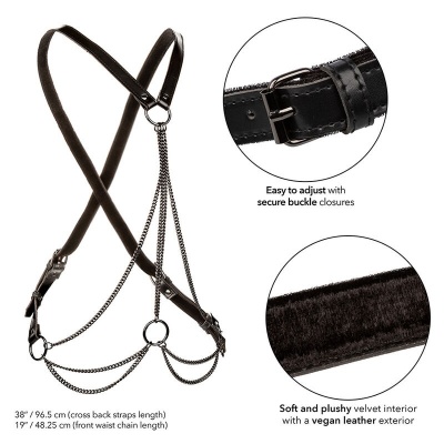 Calexotics Euphoria Multi Chain Harness Plus - image 3