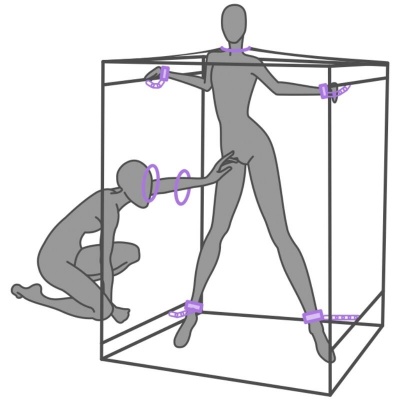 Secret Dome Kink Club Scandale Cabin Purple - image 6