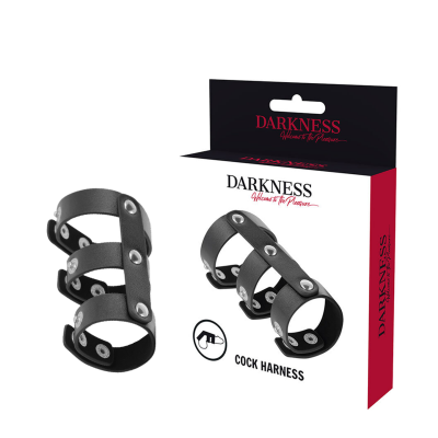Darkness Double Adjustable Leather Ring