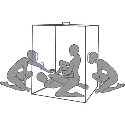 Secret Dome Kink Club Scandale Cabin Purple - image 4