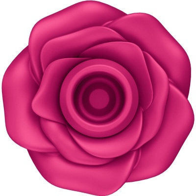 Satisfyer Air Pulse Pro 2 Classic Blossom Vibrator - image 2