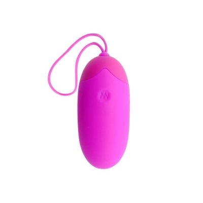 Pretty Love Egg Berger Remote Control 12V - image 3