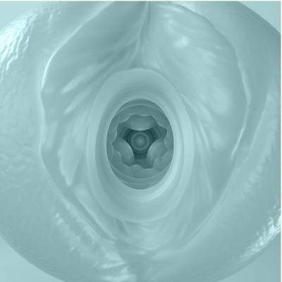 Pretty Love Masha Male Masturbator Blue - image 3