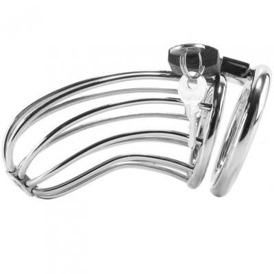 Metal Hard Bird Chastity Ring Cage - image 1