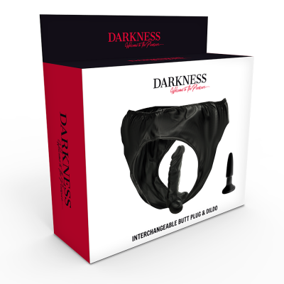 Panties With Plug And Interchangeable Dildo - image 4